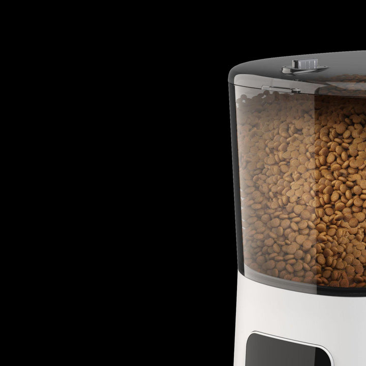 Pet feeder automatic - Mamofa Global Store