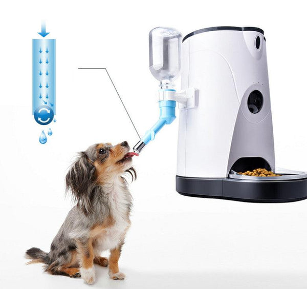 Pet automatic feeder - Mamofa Global Store