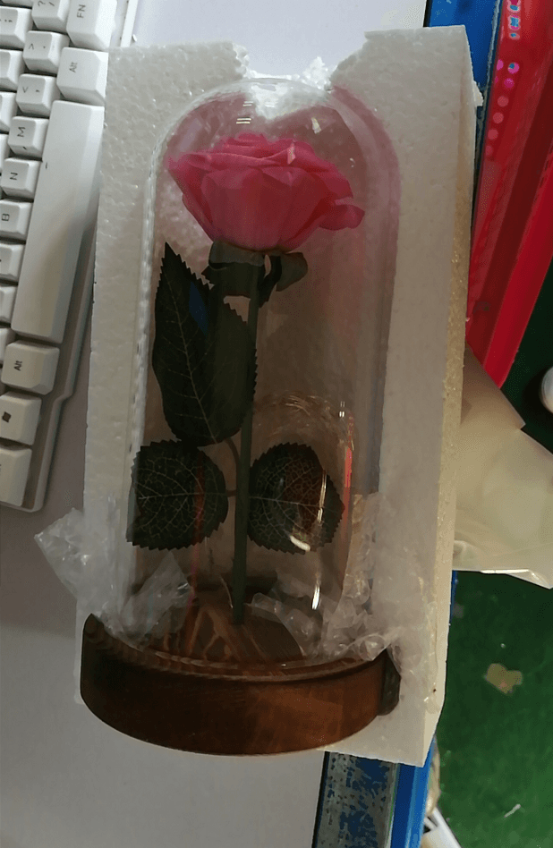 Mothers Day Gift Enchanted Forever Rose Flower In Glass LED Light Home Decoration - Mamofa Global Store