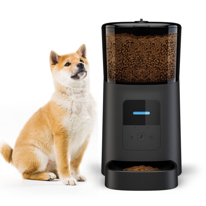 Pet feeder automatic - Mamofa Global Store