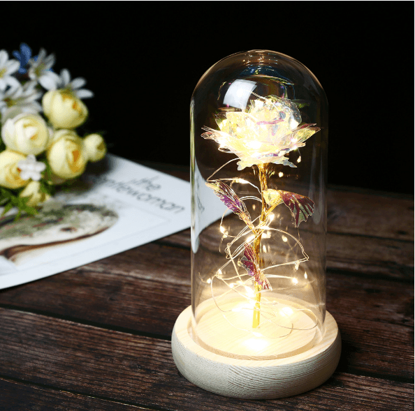 Mothers Day Gift Enchanted Forever Rose Flower In Glass LED Light Home Decoration - Mamofa Global Store