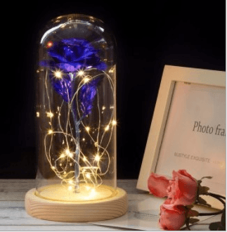 Mothers Day Gift Enchanted Forever Rose Flower In Glass LED Light Home Decoration - Mamofa Global Store