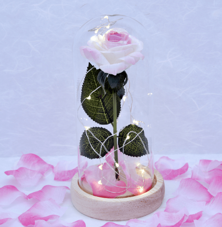 Mothers Day Gift Enchanted Forever Rose Flower In Glass LED Light Home Decoration - Mamofa Global Store