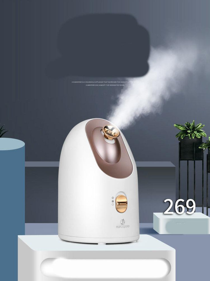 Hot and cold face steamer - Mamofa Global Store