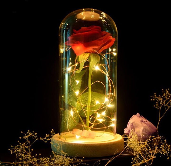 Mothers Day Gift Enchanted Forever Rose Flower In Glass LED Light Home Decoration - Mamofa Global Store