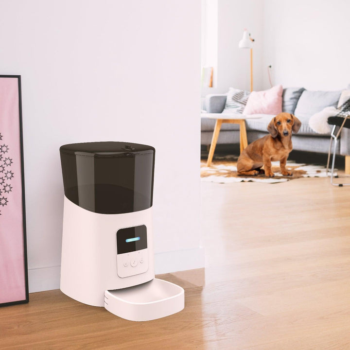 Pet feeder automatic - Mamofa Global Store