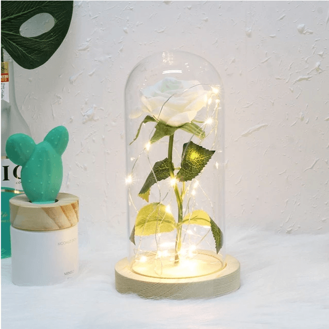 Mothers Day Gift Enchanted Forever Rose Flower In Glass LED Light Home Decoration - Mamofa Global Store