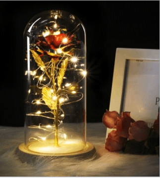 Mothers Day Gift Enchanted Forever Rose Flower In Glass LED Light Home Decoration - Mamofa Global Store