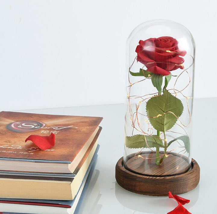 Mothers Day Gift Enchanted Forever Rose Flower In Glass LED Light Home Decoration - Mamofa Global Store