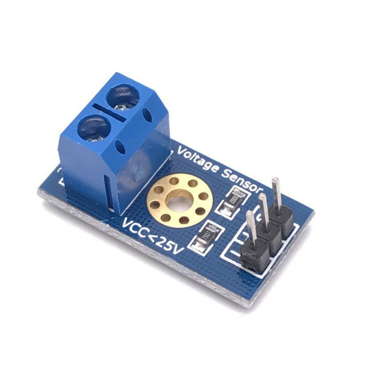 Voltage Detection Module Sensor Electronic Bricks - Mamofa Global Store